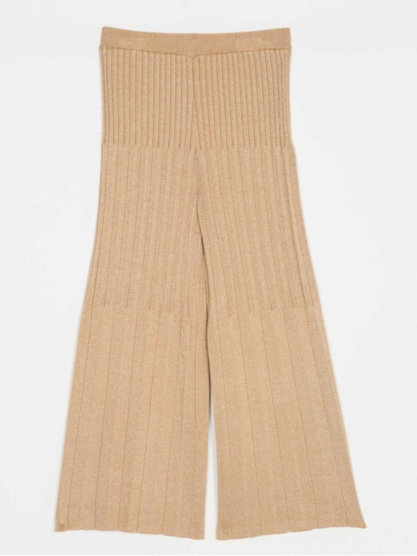 Штани/Золоті складки 252GJ3112